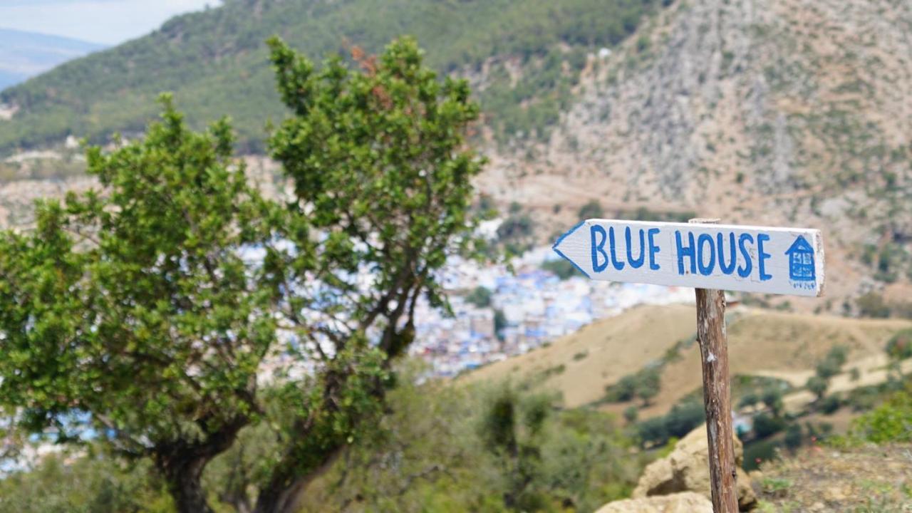 Вилла Blue House Town Шефшауэн Экстерьер фото